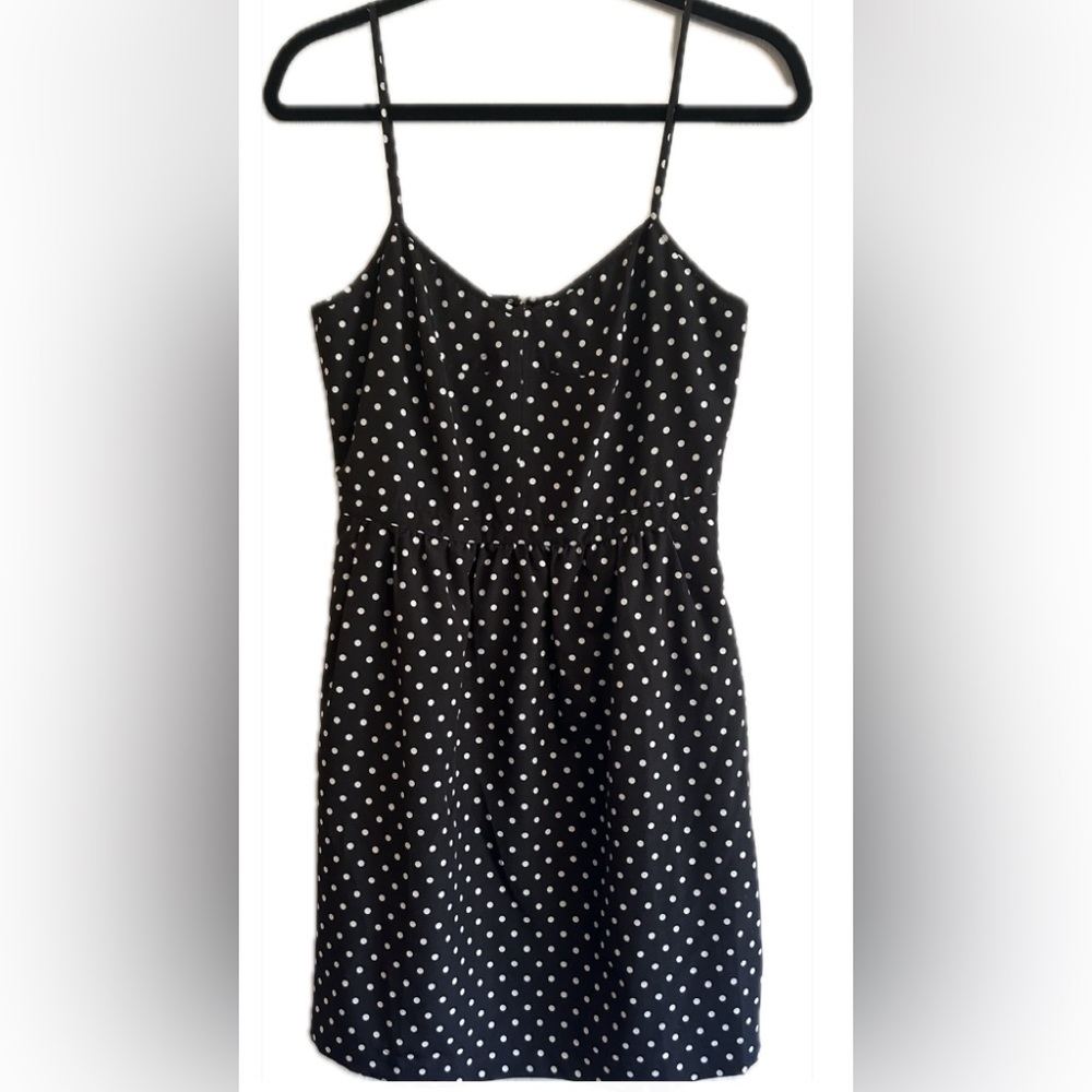 J. Crew Polka Dot Fit and Flare Dress